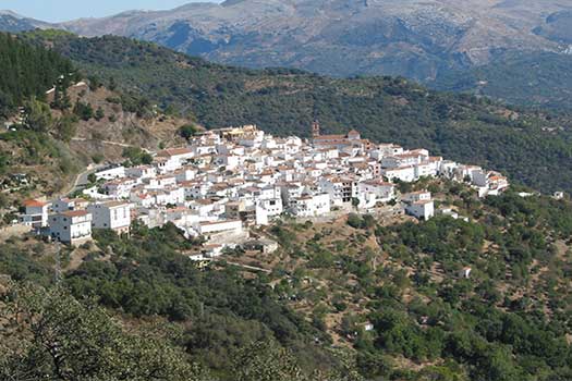 Vakantieverblijven in Puerto de la Duquesa